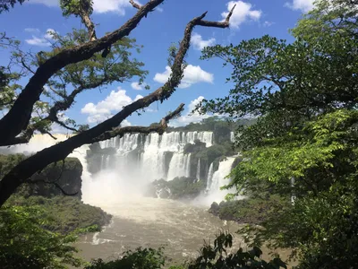 Iguazu